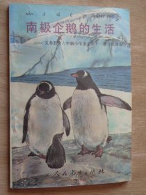 南极企鹅的生活 九年义务教育六年制小学语文第十一册自读课本