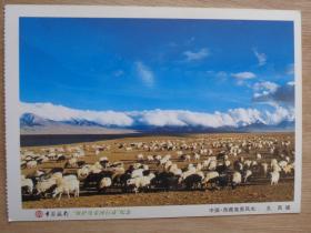 中国银行 保护母亲河行动纪念明信片