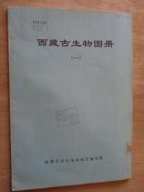 西藏古生物图册 一