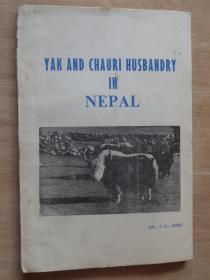 Yak and chaurl  husbandry in Nepal 尼泊尔的牦牛饲养业