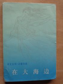 译文丛刊 诗歌特辑：在大海边