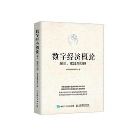 数字经济概论：理论、实践与战略