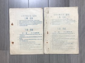 中药学期终复习提纲（2本合售）