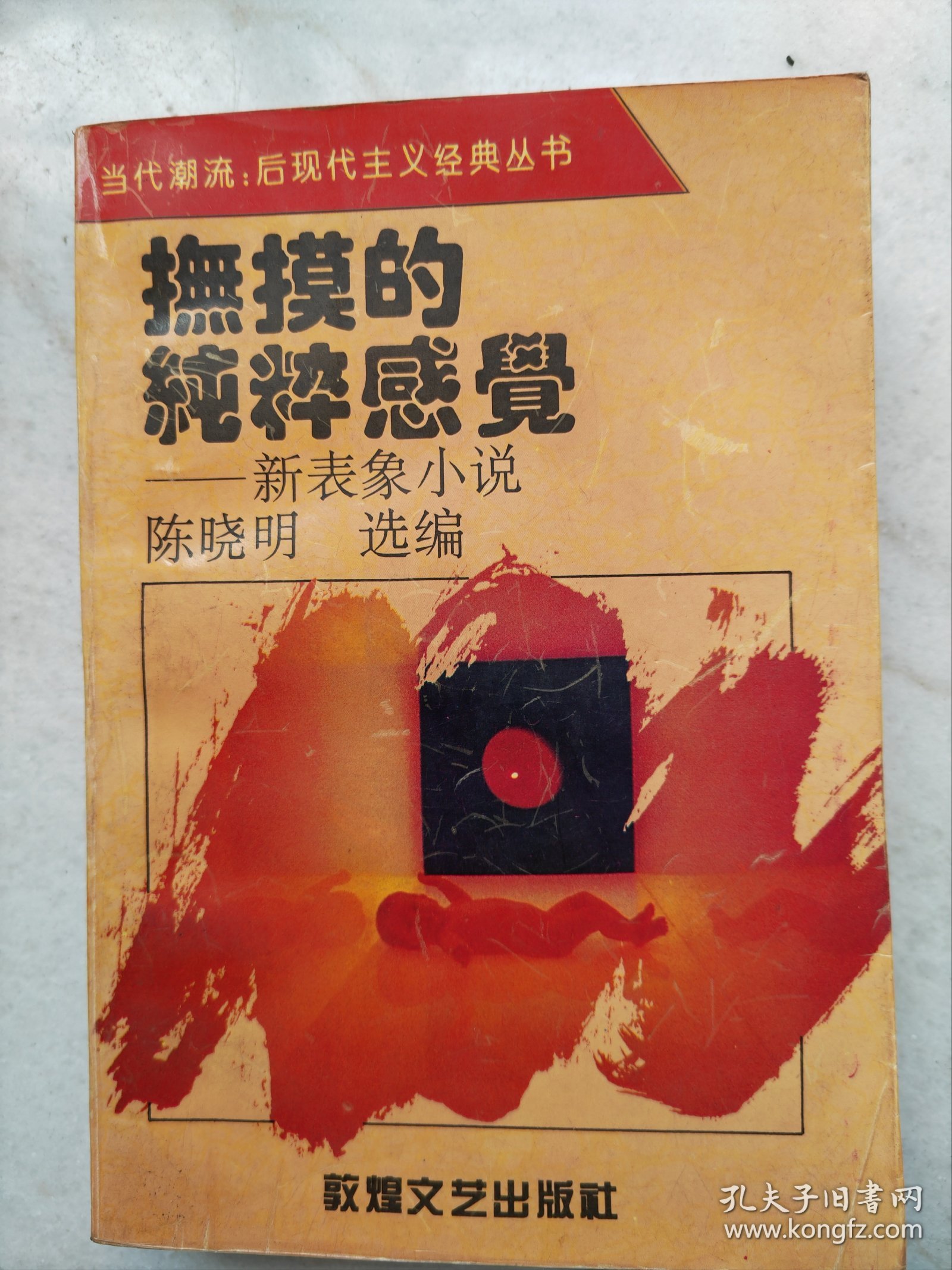 抚摸的纯粹感觉 新表象小说，包括李洱、北村、吕新、述平等11位作家12部作品。1994年一版一印。