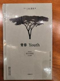 青春/“外省生活场景”三部曲