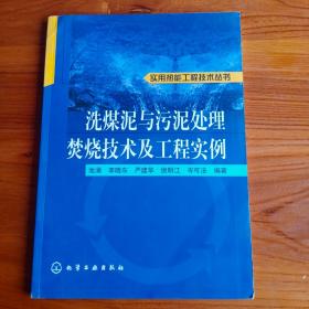 洗煤泥与污泥处理焚烧技术及工程实例