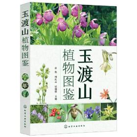 玉渡山植物图鉴