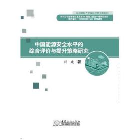 中国能源安全水平的综合评价与提升策略研究