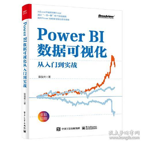 Power BI 数据可视化 从入门到实战（四色）