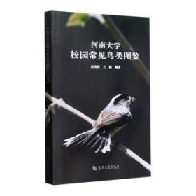 全新正版图书 河南大学校园常见鸟类图鉴