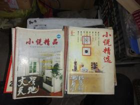 文学天地 小说精品