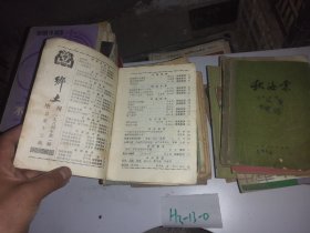 秋海棠