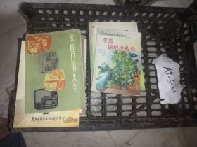 冬瓜保護(hù)地栽培