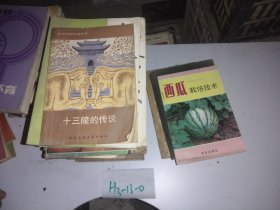 西瓜栽培技术