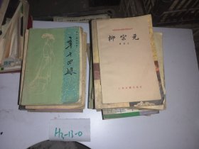 柳宗元 中国古典文学知识丛书