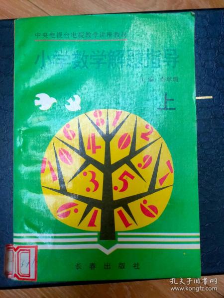 小学数学解题指导 上
