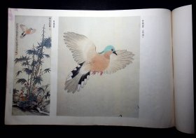荣宝斋画谱（47）花鸟部分