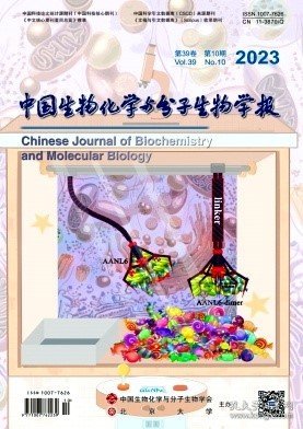 中国生物化学与分子生物学报,2023年,10月,第10期,薛甜;焦亚娟;黄耀伟;,魏建磊;张涛;张鹏霞;,童旭;孙晓迪;袁萍;,伍铤;王韵;,齐吉红;张强;,罗成;李相龙;李艳;,崔思瑶;周璐瑾;常晓彤;,刘行辉;刘若兰;龙云峰;陈邦航;张峥嵘;敖欣;樊洁柔;李准洁;苏延停;,杨刚;孟晨雪;田洁;尚雨寒;张品正;孙佳佳;王旭莹;常铭杰;马雨凯;郭志义;,唐晓雯;杨智;李羽飞