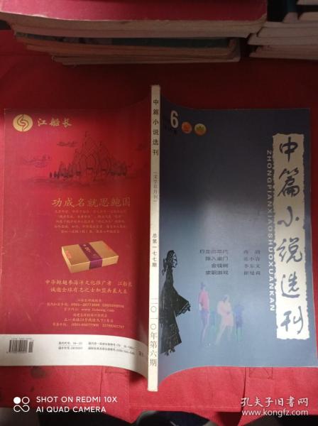 中篇小说选刊  2010  6    行走的年代  嫁入豪门  金钱树  求职游戏 等