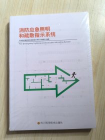 消防应急照明和疏散指示系统