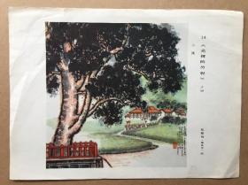 宣传小画片黄洋界上炮声隆绘之六蔡群蔡超绘16开品如图