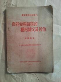 自花受粉植物的种内杂交及其他 1950年