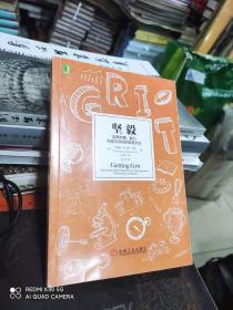 坚毅：培养热情、毅力和设立目标的实用方法