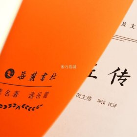 左传 学习先秦古文的典范，研究古代中国史的基准  岳麓书社