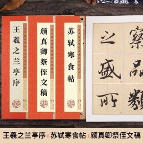 毛笔字帖行书书法教程3册套装墨点历代经典碑帖高清放大对照本苏轼寒食帖颜真卿祭侄文稿王羲之兰亭序毛笔字初学入门毛笔行书字帖