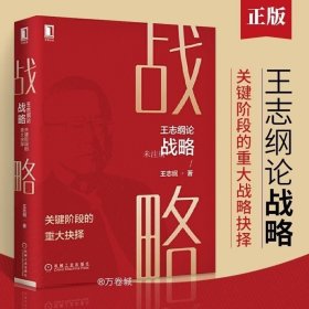 王志纲论战略:关键阶段的重大抉择