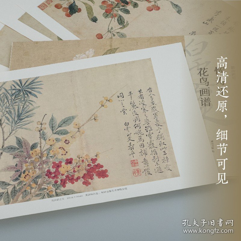 湖山画谱 恽寿平花鸟画谱 单片散装/册页立轴兼有/散页盒装高清还原/可临摹鉴赏装饰收藏 恽寿平花鸟画册页精选国画临摹卡书籍正版