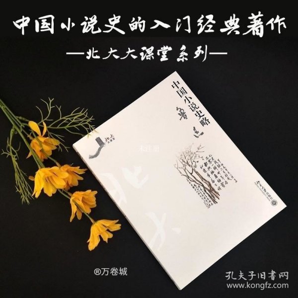 正版现货 中国小说史略 北大大课堂 鲁迅 史家小说论述 神话传说六朝之鬼神志怪书古典文化研究书籍小说畅销书新华书店旗舰店