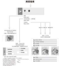 正版现货 妇科手术图谱 第四版4实用妇产科手术学临床妇产科学附件子宫外阴阴道盆底的经腹经阴和内镜手术方法低年资妇科住院医师书籍手册