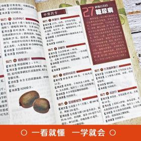 小偏方大功效易做实用的2000个偏方食补外敷内科外科皮肤科五官科妇科儿科中医基础理论中医调理自学饮食术伤寒杂病论养生书籍大全