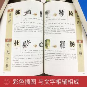 画说汉字大全集彩图说文解字语言文字图解许慎中华书局古代汉语字典 详解部首咬文嚼字细说汉字的故事正版书籍