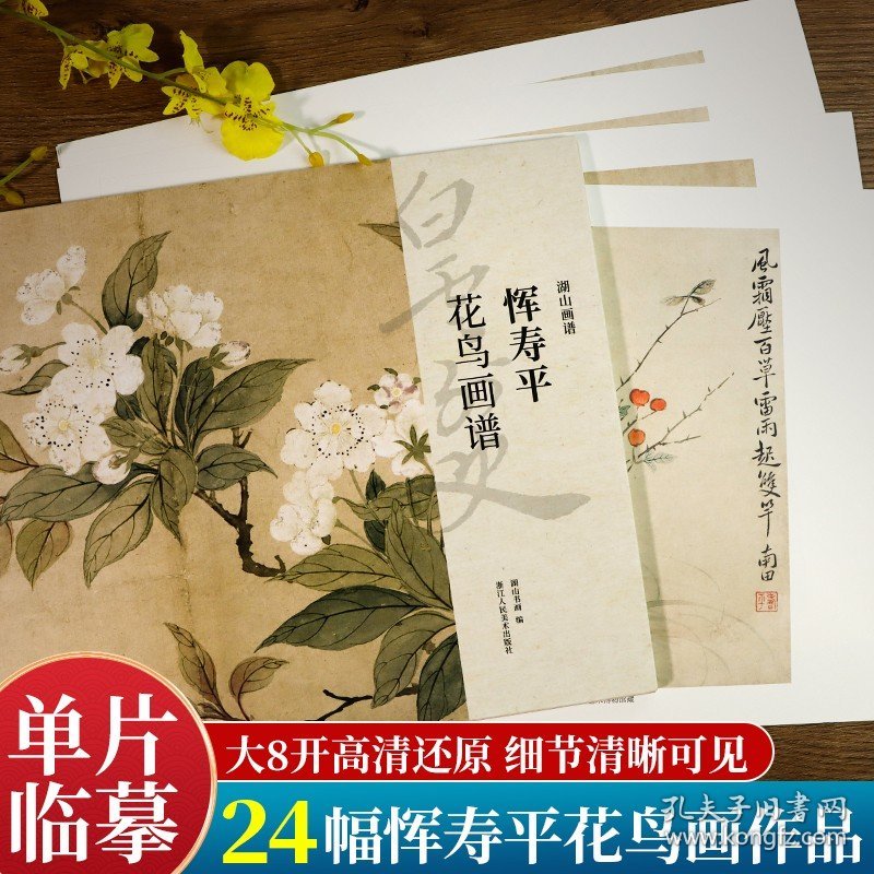 湖山画谱 恽寿平花鸟画谱 单片散装/册页立轴兼有/散页盒装高清还原/可临摹鉴赏装饰收藏 恽寿平花鸟画册页精选国画临摹卡书籍正版