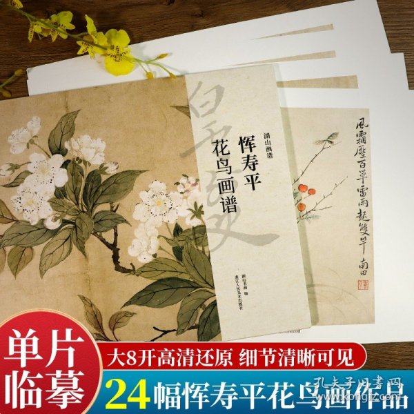 湖山画谱 恽寿平花鸟画谱 单片散装/册页立轴兼有/散页盒装高清还原/可临摹鉴赏装饰收藏 恽寿平花鸟画册页精选国画临摹卡书籍正版