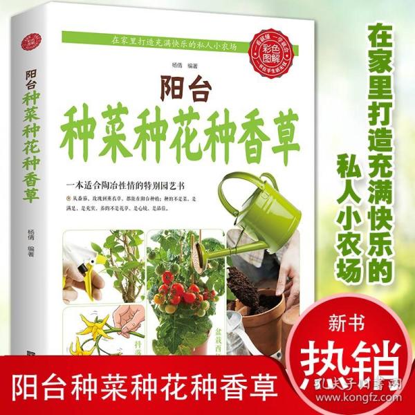 微型盆栽创意DIY