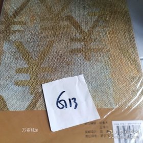 正版 财务会计学——学习指导与习题解答 9787810979788 9787810979788