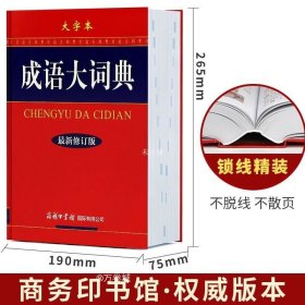 成语大词典（大字本）（最新修订版）