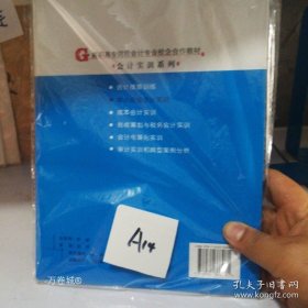 正版现货 中小企业会计实训 9787562333081
