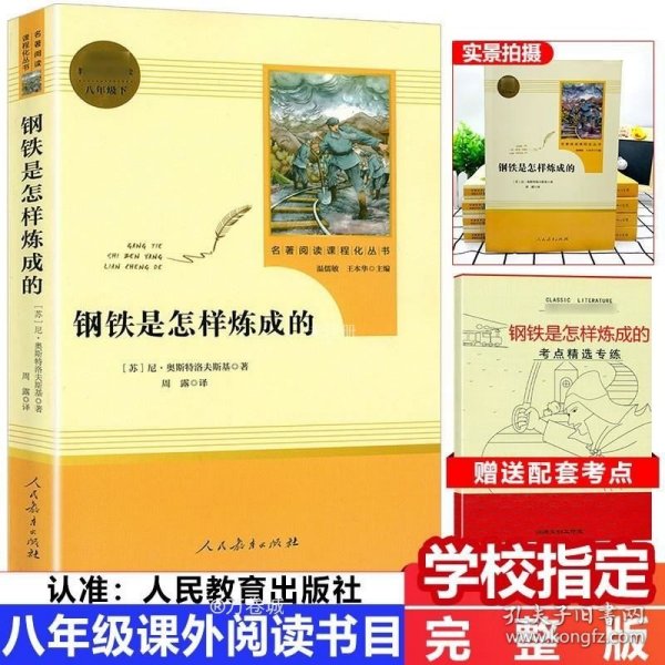 统编语文教材配套阅读 八年级下：钢铁是怎样炼成的/名著阅读课程化丛书