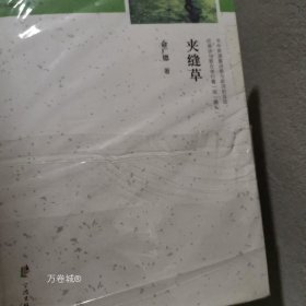 正版现货 夹缝草