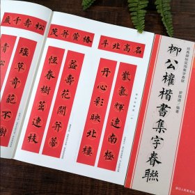 柳公权楷书集字春联 6大类120幅春节对联 原碑帖古帖楷书集字对联横幅 楷书柳体玄秘塔碑刻石毛笔软笔书法练字帖 集字作品