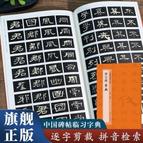 曹全碑字典 中国碑帖临习字典 按偏旁部首归类行书隶书楷书毛笔书法字典工具书 书法爱好者快速掌握字体结构技巧 临摹鉴赏教材书