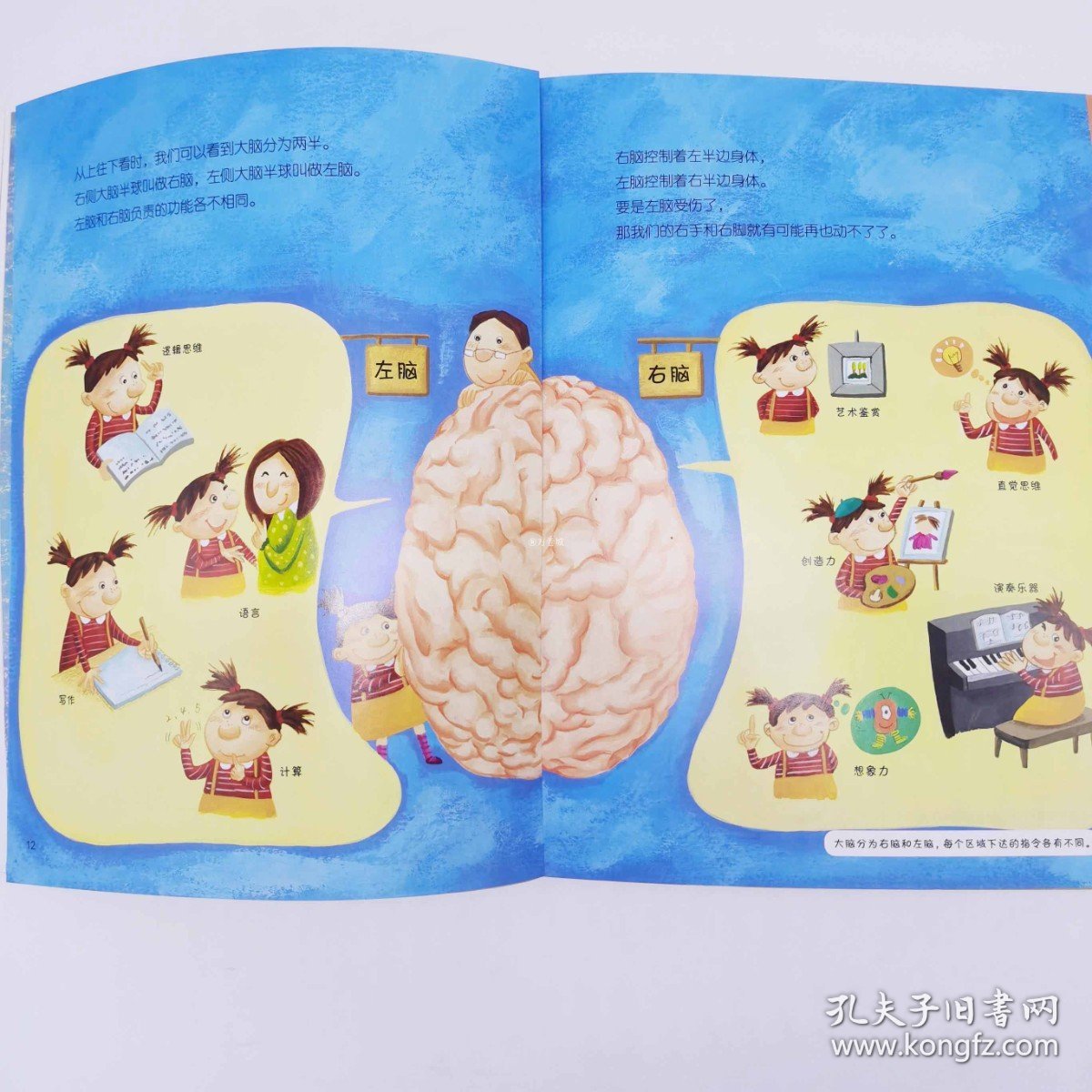 科学原理早知道 我们身体的总指挥 大脑 6-8-10-12儿童小学生1-6年级科学教育基础启蒙读本物理化学生物自然身体科学原理书籍