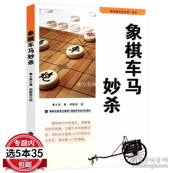 象棋战术技巧丛书：象棋绝杀实战精选