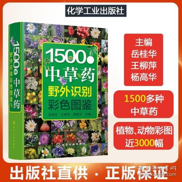 正版现货 141正版 1500种中草药野外识别彩色图鉴 中草药彩图大全书实用图典 中草药识别应用图谱中药全图鉴中草药书籍大全常用中草药手册书