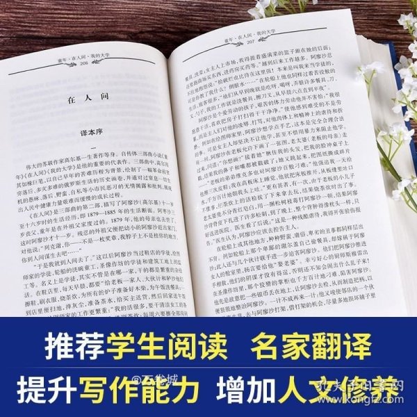 中译经典文库 童年.在人间.我的大学