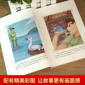 伴读【附考题】无障碍阅读小飞侠彼得潘小学名著课外阅读训练阅读理解考点测试